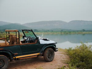 ranthambhore_ghati_images_jungle-safari