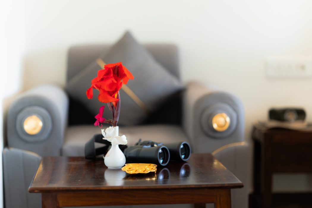 ranthambhore_ghati_images_room